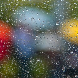 Summer Rain